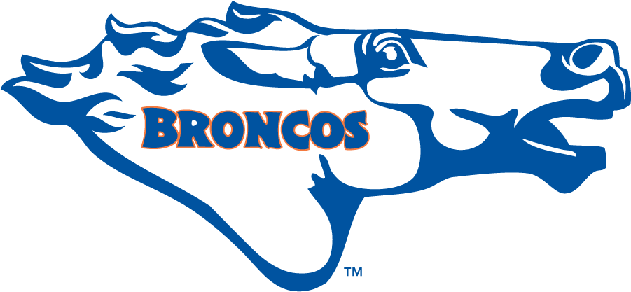 Boise State Broncos 1976-1980 Secondary Logo DIY iron on transfer (heat transfer)